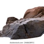 免费三级现频在线观看免费 44si6varyg