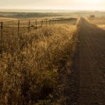 制服丝袜另类专区制服 5ck4tq