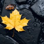 色情影片免费观看日本 73h38fo