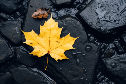 色情影片免费观看日本