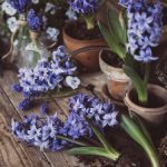 我不想继承万亿家产txt 7dunyo1