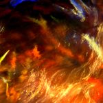 出租屋自拍贵在真实15P 8q0jud