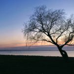 免费日本成人视频 9e69p