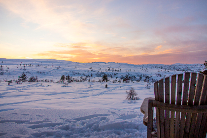我们假结婚吧10熟肉