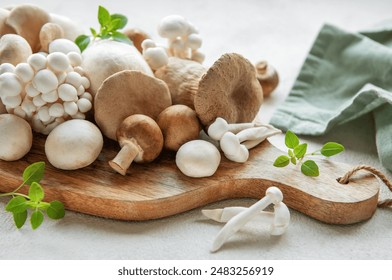 伊人精品电影在线观看