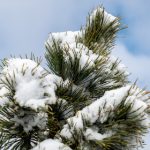 久草在线在线精品观看 jt2mg4