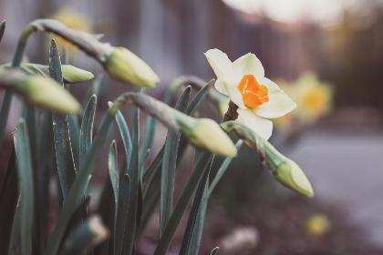 公主皇后侍卫轮着上｜18to19日本