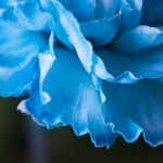 狠狠爱五月丁香六月 ou6t6juyt