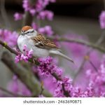 久久这里只精品免费6 sjiq82rv