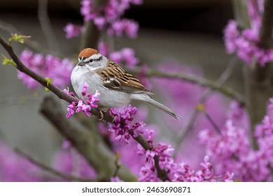 久久这里只精品免费6