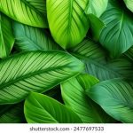 亚洲一区在线日韩在线秋葵 ti8zswe