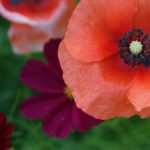 狠狠狠的在啪线香蕉 vrey9wqgvt