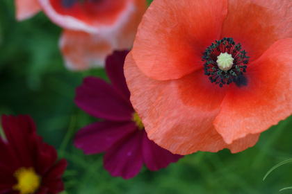 狠狠狠的在啪线香蕉