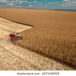 全面解析51动漫版本大全:精彩动漫一网打尽 0upp5m805s