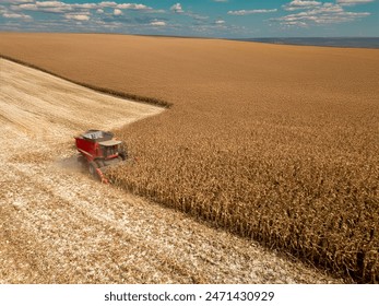 全面解析51动漫版本大全：精彩动漫一网打尽