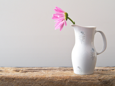 学习资料网站老司机黄：获取优质学习资源的最佳平台推荐