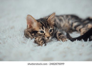 哔咔漫画下载密码：获取最新漫画资源的必备技巧与方法