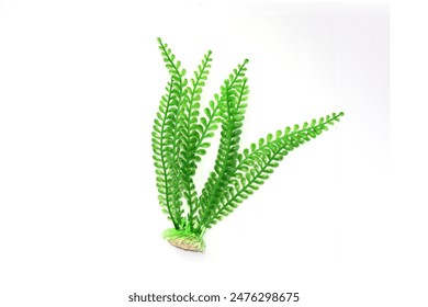 如何顺利完成8×8办公室登录步骤与技巧