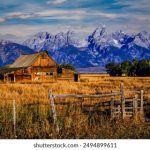 哔咔漫画在线版:畅享海量漫画资源,随时随地阅读乐趣 m3ydb8ubus