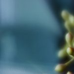 全面解析研究所导航发布页的功能与应用 nju9ls1br