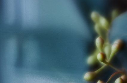 全面解析研究所导航发布页的功能与应用