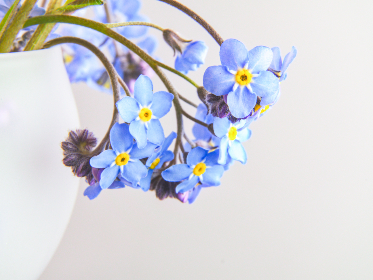 学习网站推荐：提升自学能力的优质在线资源分享