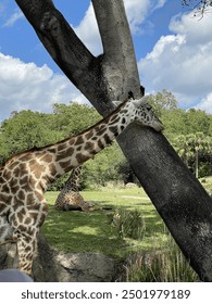 快猫视频：畅享高清影视，尽在掌握之中