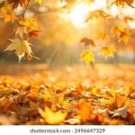 外国网址导航:探索全球优质网站的便捷入口与使用技巧 xgb0yrr3q6