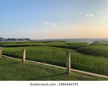 探索人类生理的奇妙旅程：大尺度男男电影中的器官之美