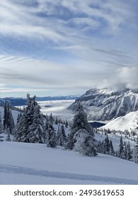 探索渚恋生在Twitter上的精彩瞬间与粉丝互动