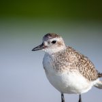 探索hao360 mainshe:全面解析其功能与优势 5yb8ck2d