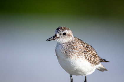 探索hao360 mainshe：全面解析其功能与优势