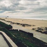 探索磁力吧Ciliba:分享与交流的网络社区 64brkt