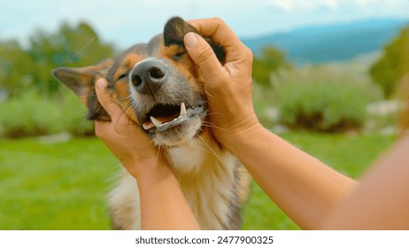 探索台北娜娜Nana的独特魅力与美食之旅
