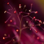 探索aabb456.com:发现无限可能的网络世界 e8myxbc5