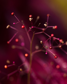 探索aabb456.com：发现无限可能的网络世界