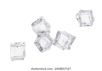 探索亚色独家：揭示独特魅力与无限可能