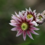 探索可乐影视官网:最新影视资源与精彩内容一网打尽 l3bdy43jk