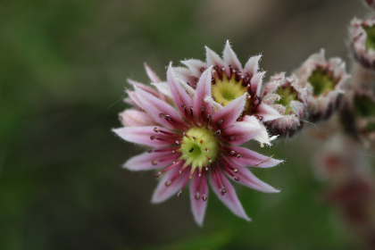探索可乐影视官网：最新影视资源与精彩内容一网打尽