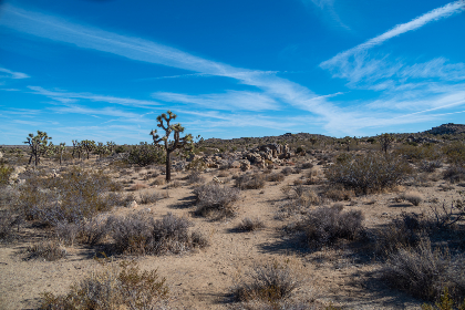 探索Patreon官网游戏：支持创作者的全新体验