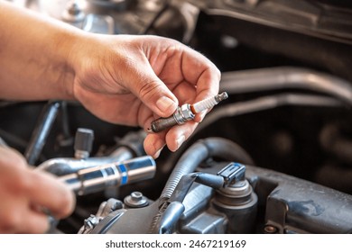 探索大米星球网站：揭开米文化的神秘面纱