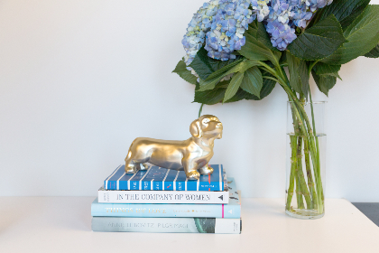 探索Copymanga：漫画爱好者的天堂与资源宝库