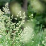 战网下载国服:轻松获取最新游戏客户端的详细指南 oyxs713qm5