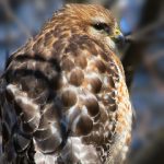 探索one老杀二维码的神秘世界与应用 sb5zfhnj