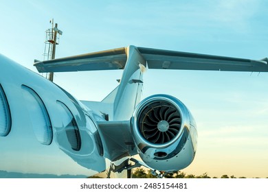 探索WM网：数字时代的网络新生态与发展趋势