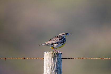 探索JMTT18CIC：创新科技与未来发展的交汇点